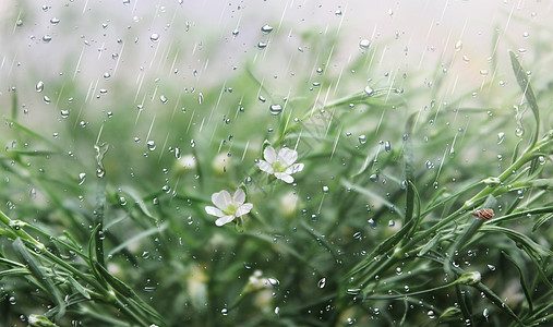 春雨背景图片