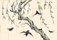 水墨春天的柳树和燕子图片
