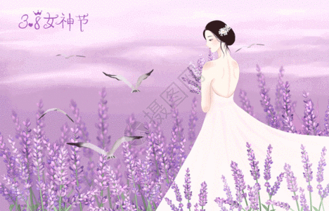 三八妇女节节日薰衣草地里的女生高清图片