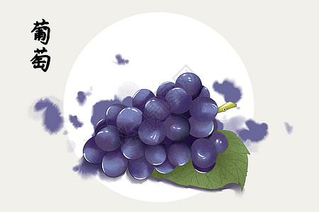 水果葡萄插画图片