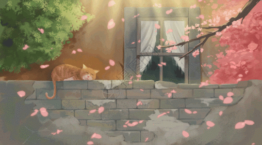 樱花树下晒太阳的猫gif图片