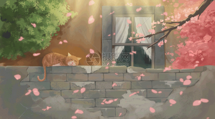 樱花树下晒太阳的猫gif