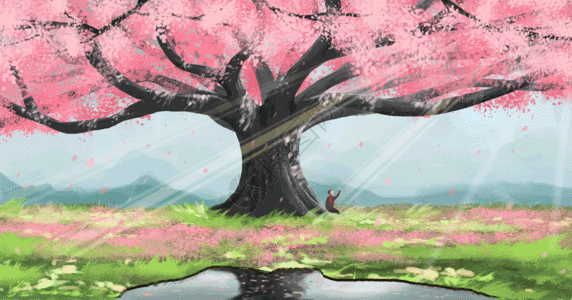 亚洲人壁纸春天樱花树下gif高清图片