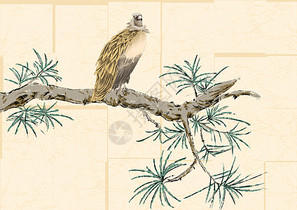 水墨的松树和鹰图片