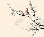 水墨的树枝鸟图片
