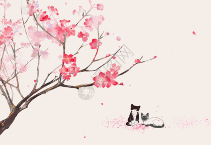 桃花树下的猫咪gif图片