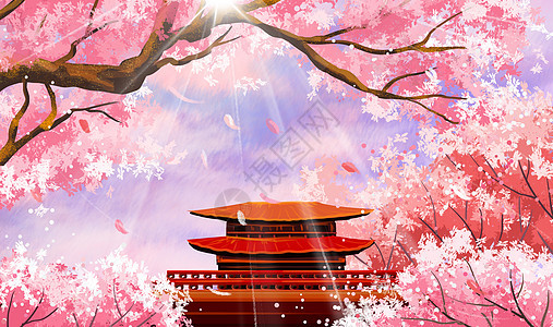 樱花风景图片