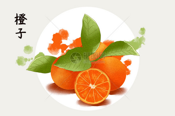 水果橙子插画图片