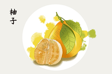 水果柚子插画图片