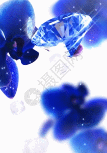 兰花和钻石蓝色h5动态背景素材高清图片