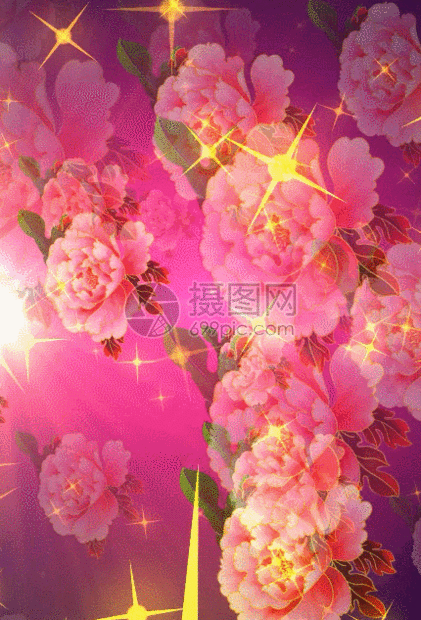 牡丹星光喜庆中国风背景素材动图图片-正版gif素材-摄