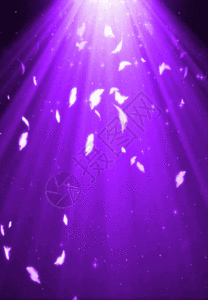 唯美紫红羽毛舞台晚会背景图片