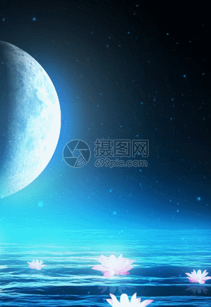 gif动图 动态背景 唯美月亮海面荷花背景.gif