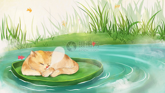 小猫荷塘小憩插画图片