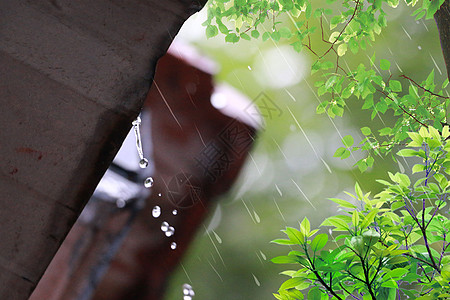 清明佳节清明节的雨设计图片