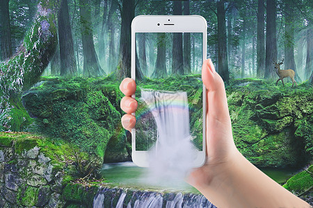 手机中的魔幻森林图片