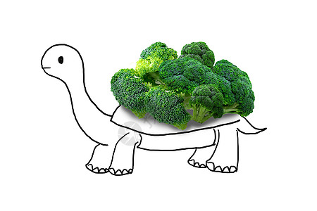 趣味蔬菜乌龟图片