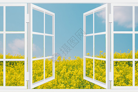 窗外景色窗外油菜花风景设计图片