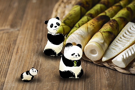 熊猫爱竹笋背景图片