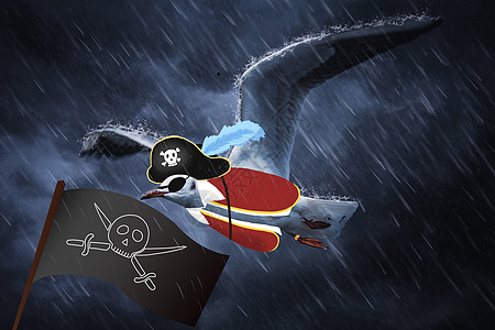 海盗海鸥宠物创意摄影插画图片