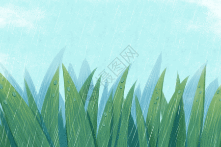 植物水珠雨水GIF高清图片