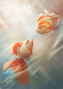 金鱼图动物祝福高清图片