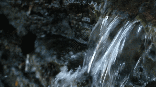 清澈的小溪小溪河流水流GIF高清图片