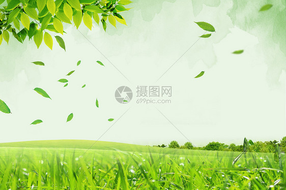 春季绿色草地图片
