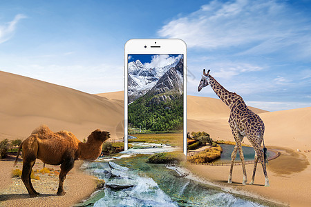 溪流手机中的沙漠绿洲设计图片