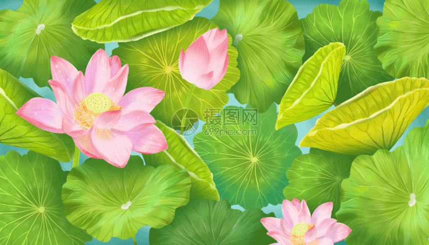 池塘荷花gif动图图片-正版gif素材401066623-摄图网