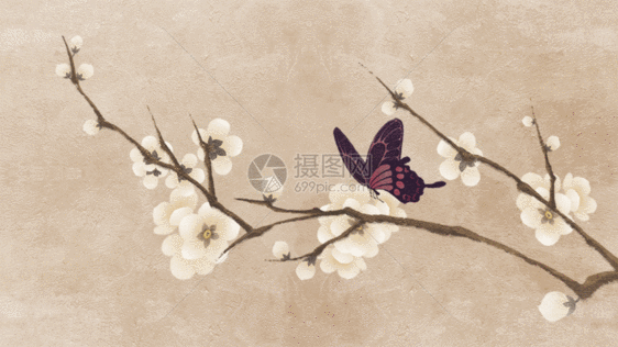 中国风春日蝴蝶飞舞插画gif动图图片