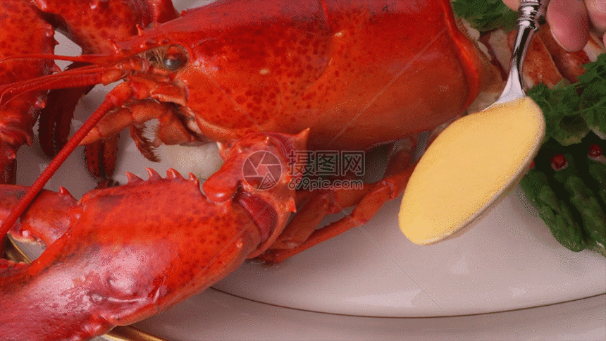 龙虾奶酪gif动图图片-正版gif素材401074636-摄图网