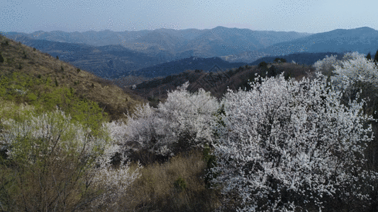 航拍大山GIF高清图片