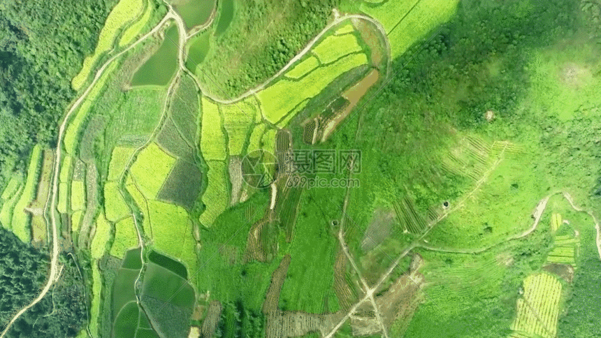 gif  摄图网为您提供  gif动图 正版 gif动态图片下载,该  gif动态