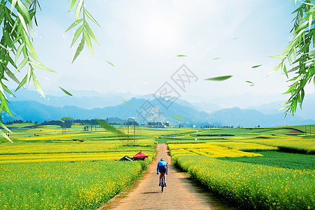 中国节气踏春骑行设计图片
