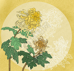 中国风国潮工笔菊花花卉图图片