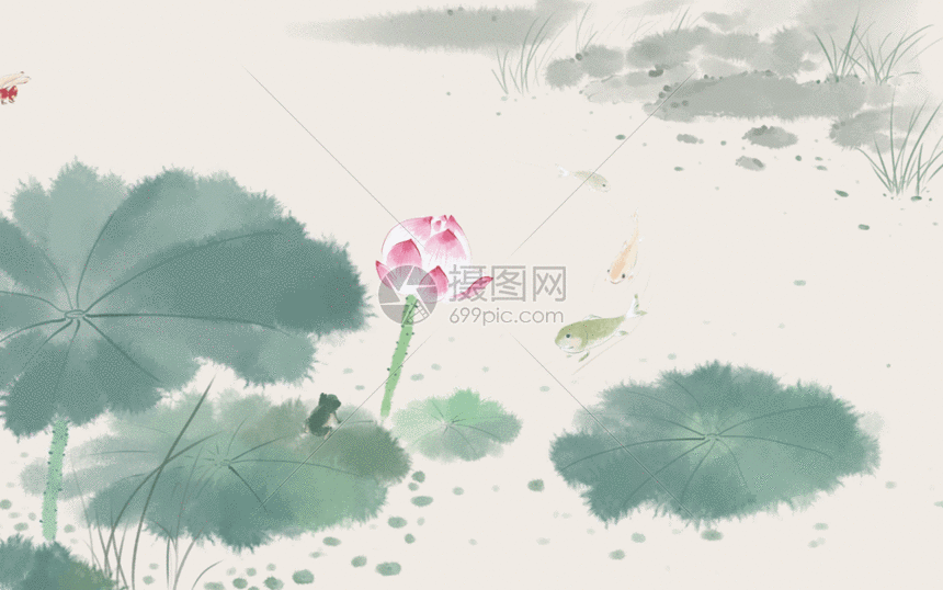 中国风荷花gif