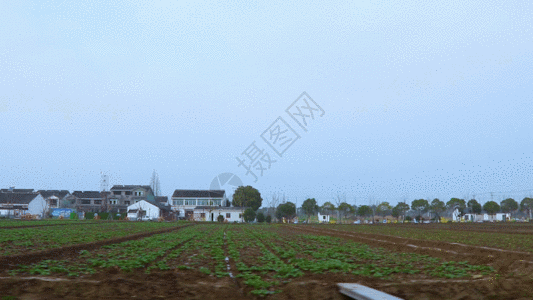 室内走廊田地村落GIF高清图片