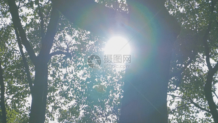 若影若现的阳光gif