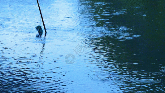 江南烟雨江南湖面GIF高清图片