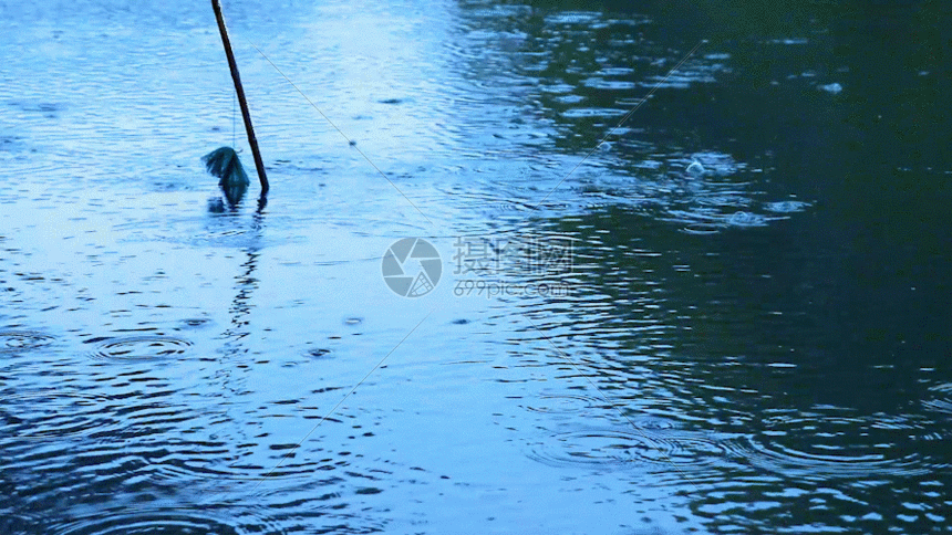 江南湖面GIF图片