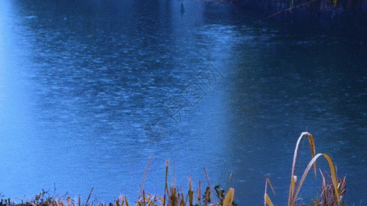 江南烟雨江南湖面景色GIF高清图片