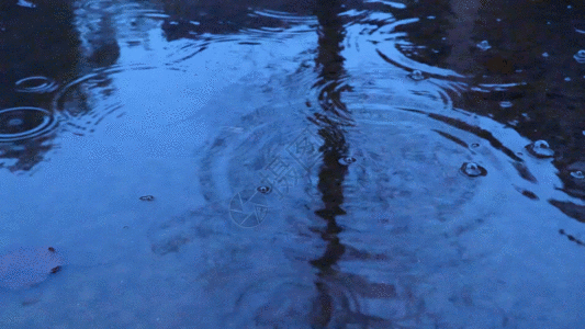 空背景湖面雨滴GIF高清图片