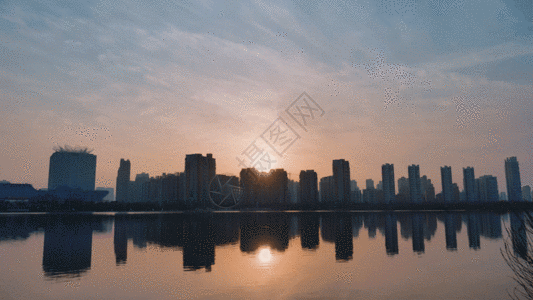 城市湖面景色GIF图片