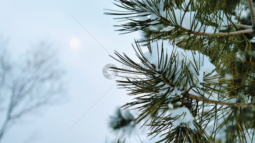 太阳雪景的唯美gif动图图片-正版gif素材401091187-摄