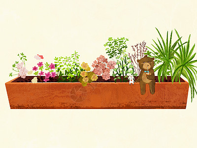 花园景观花卉植物插画