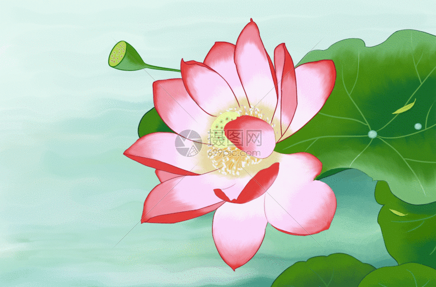 鱼戏莲叶间GIF动态图片素材下载_动图编号401092294_摄图网