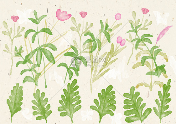 手机壳水彩植物背景图片