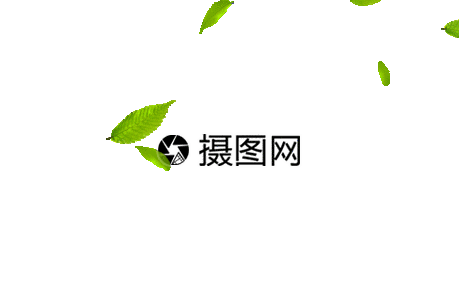 飘落树叶gif图片素材