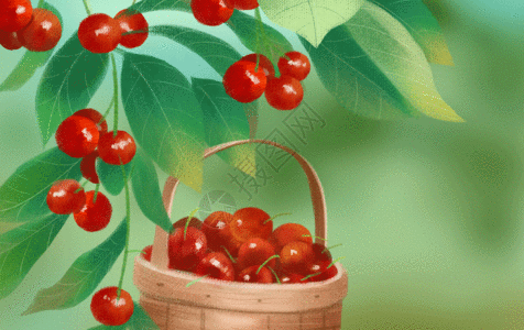 红灯樱桃夏天的樱桃GIF高清图片